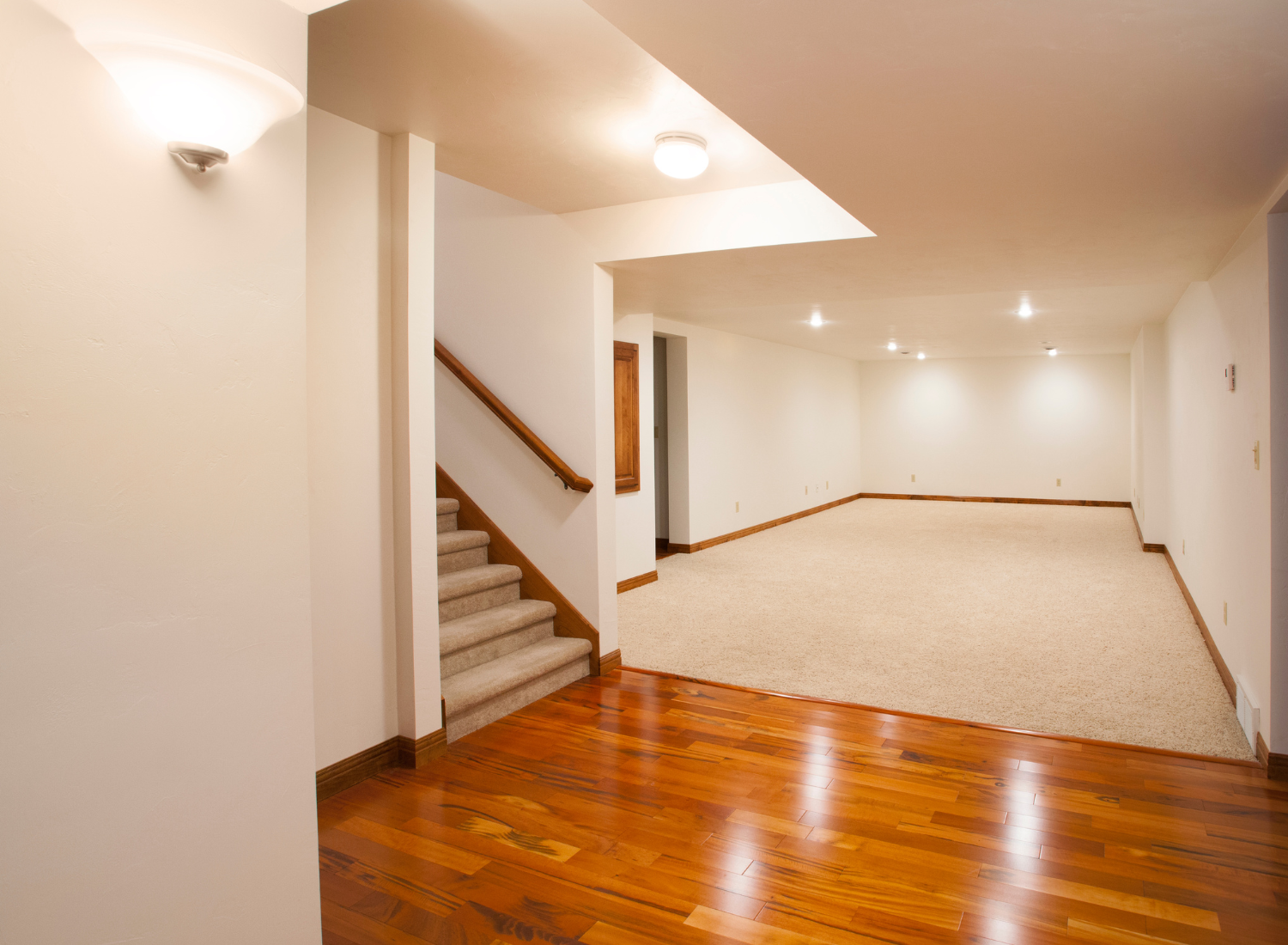 Basement Design and Build
